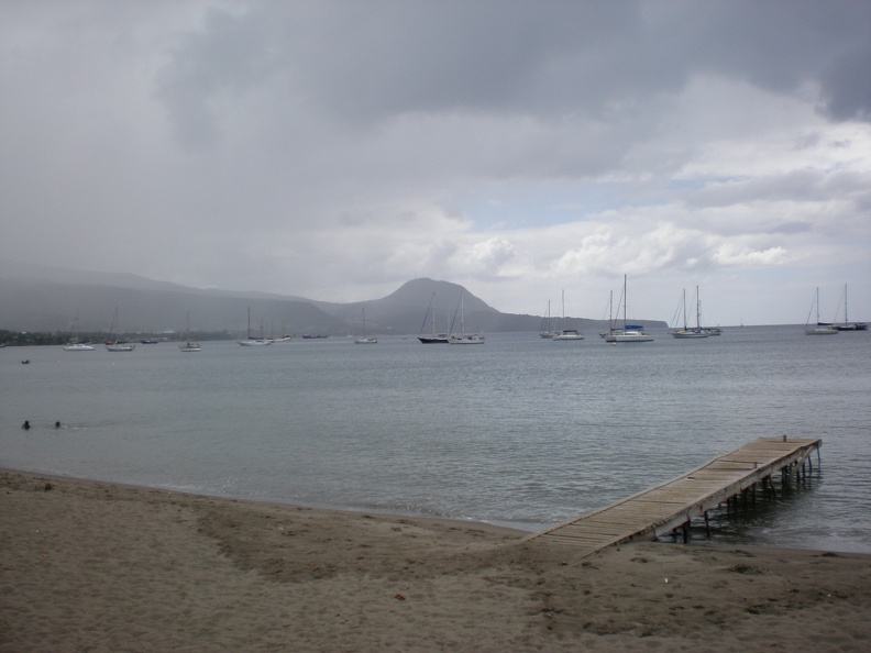 Dominica Indian River27.JPG